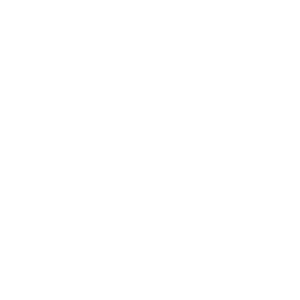 Social Media Profile