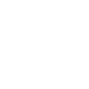 Social Media Profile